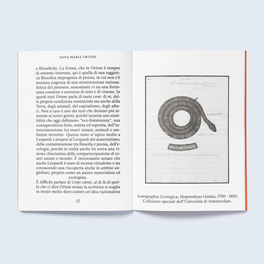 scrittrici dell'altro mondo — immagine