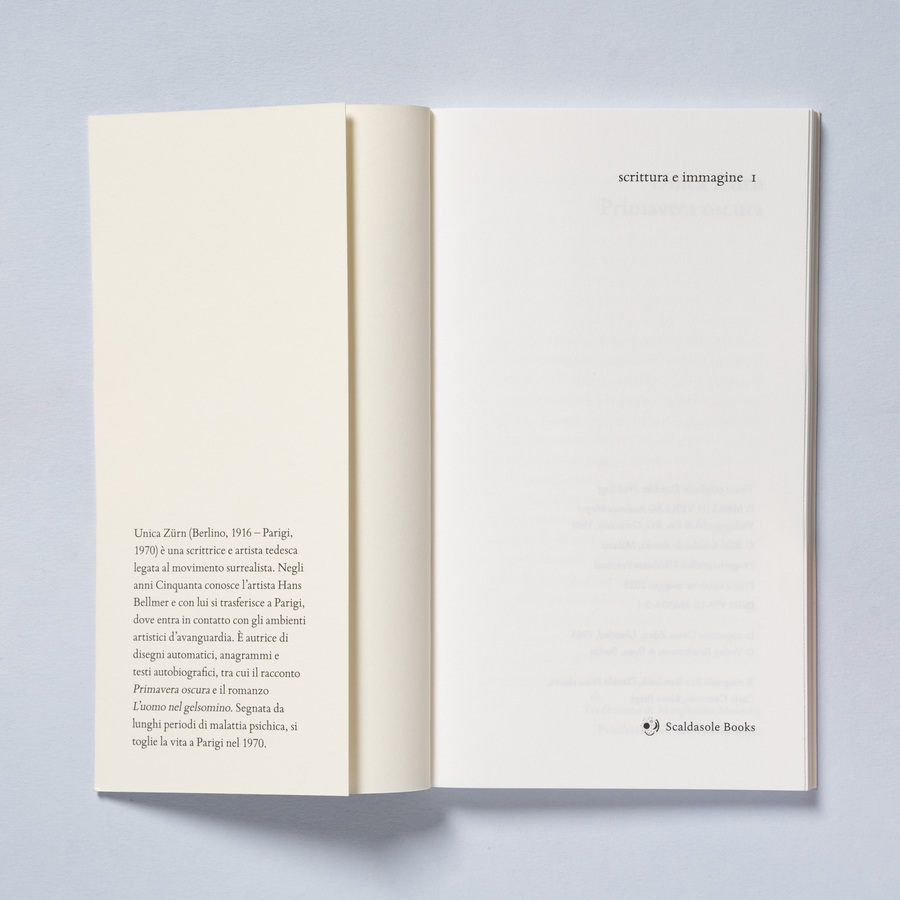 scrittura e immagine — immagine