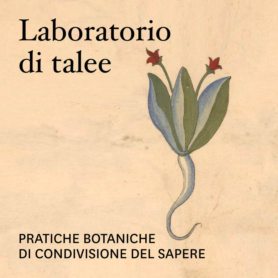 scaldasole-books-Laboratorio di talee