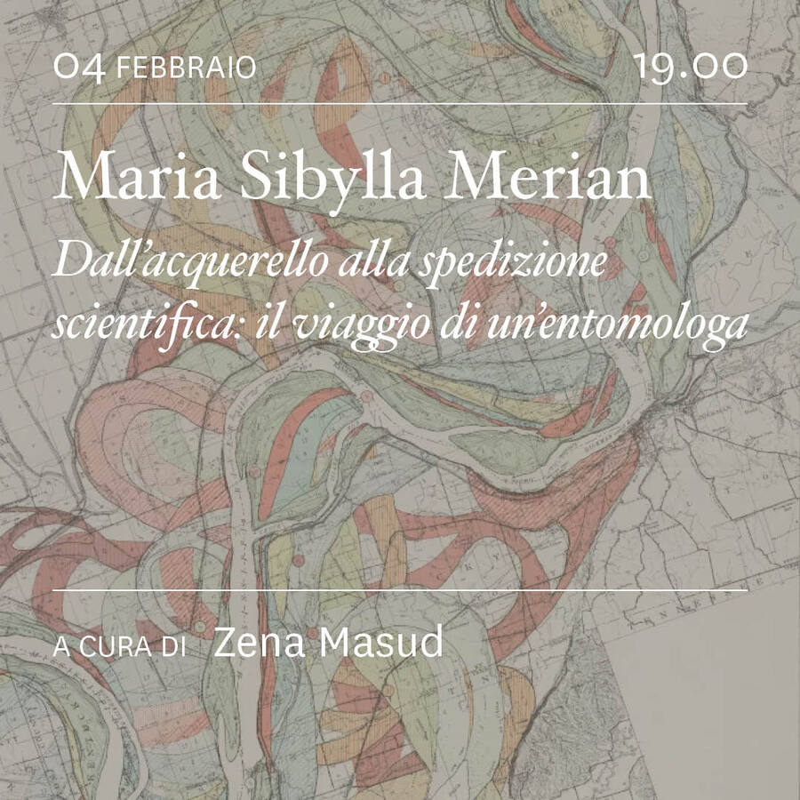 scaldasole-books-Viaggiatrici dell'altro mondo. Maria Sibylla Merian. Dall'acquarello alla spedizione scientifica: il viaggio di un'entomologa